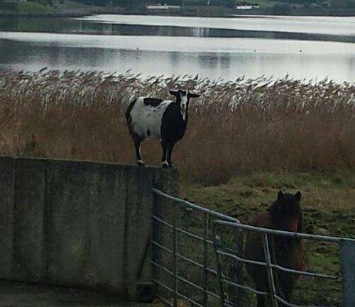 Lake View, Rosscarbery 호텔 외부 사진